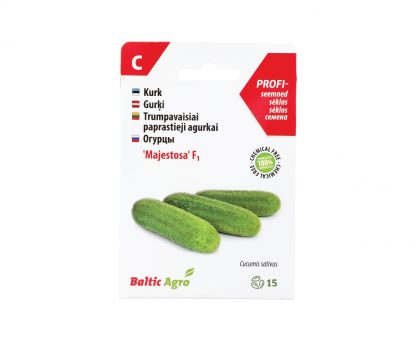 Trumpavaisiai paprastieji agurkųi „Majestosa“ F1 (Ankstyva veislė). 100% be chemikalų