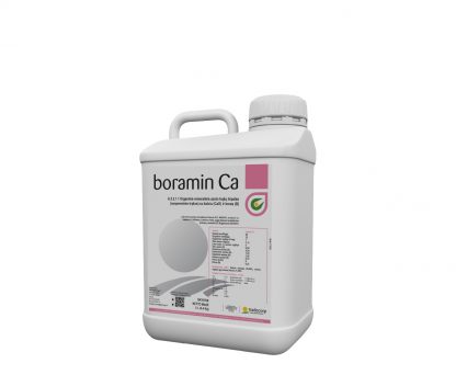 Boramin Ca 5L